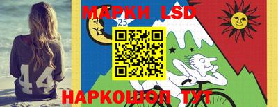 индика Краснознаменск