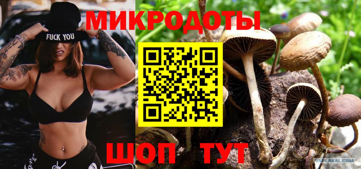 Клинцы  Псилоцибиновые грибы мицелий  Галлюциногенные грибы Psilocybine cubensis  Вход с VPN 