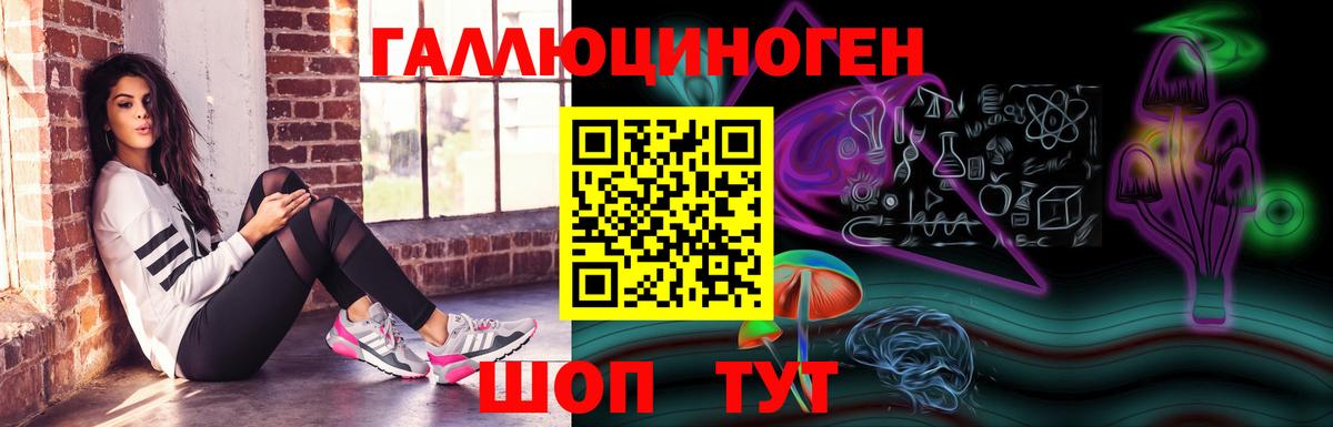 Псилоцибиновые грибы Cubensis Клинцы